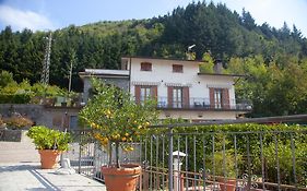 Affittacamere Cà Nesi
